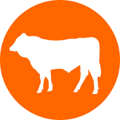 A picture of Upper Burger Grill's Mascot